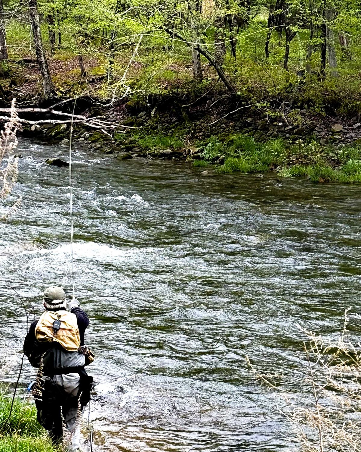 Research and development on the river