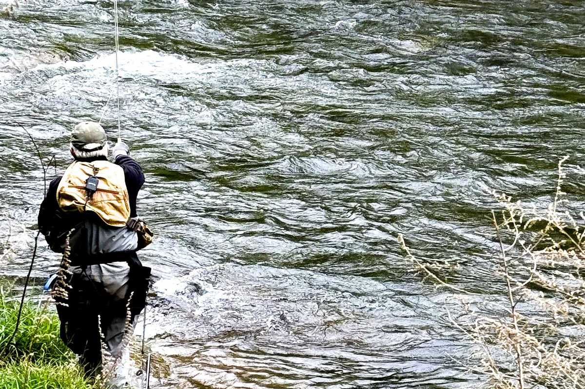 Research and development on the river