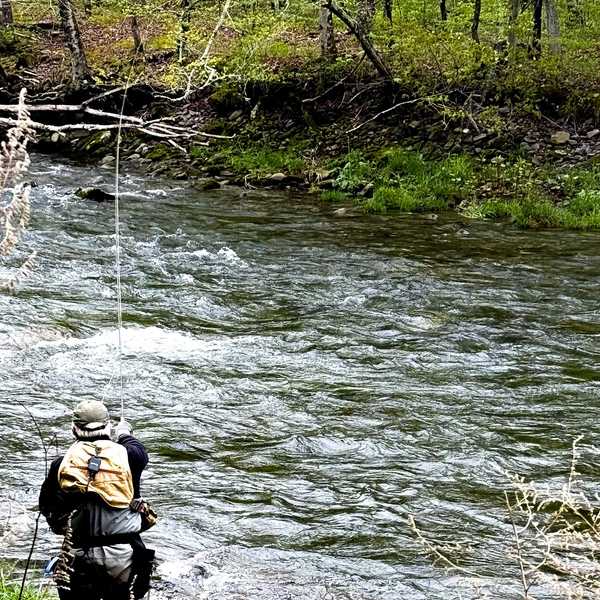 Research and development on the river