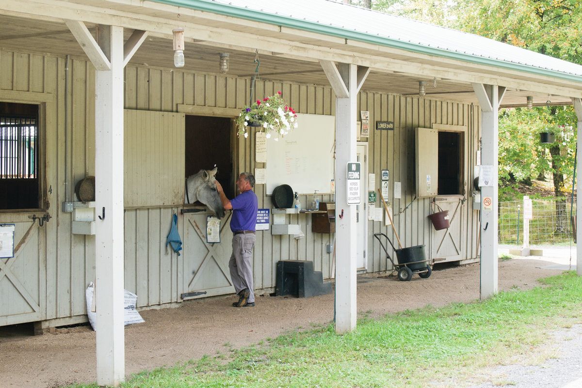 Horse boarding and training reflect long county tradition