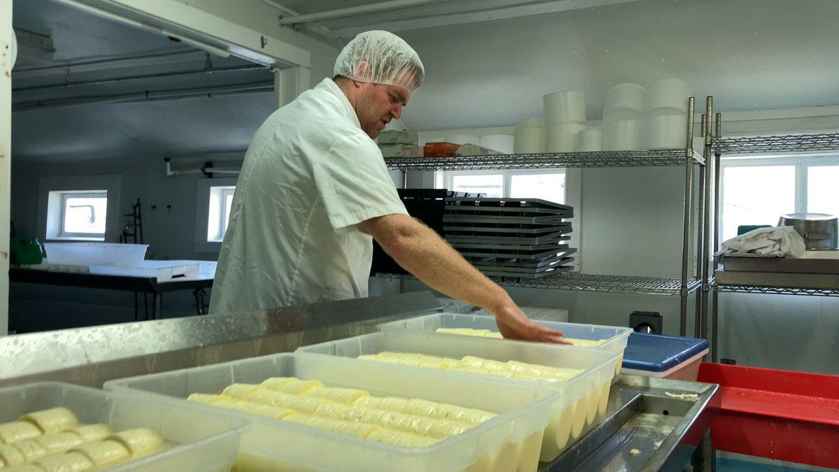 Pine Plains Festival of Short Films set for the weekend