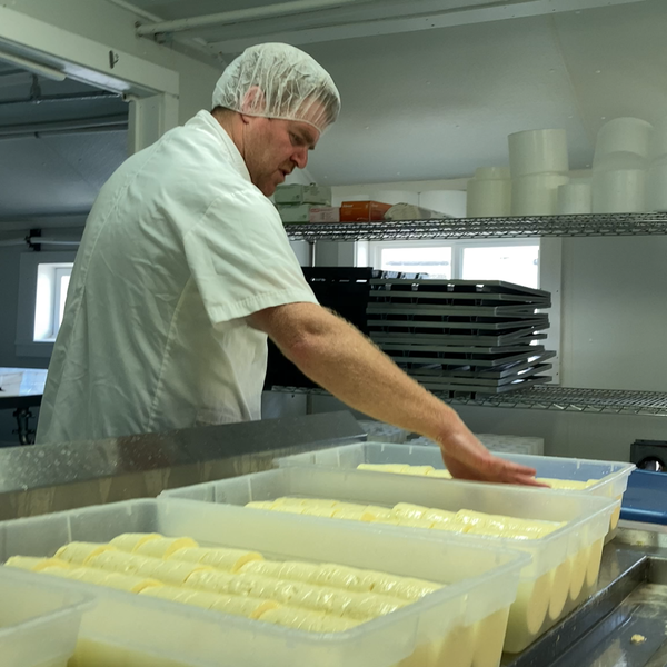 Pine Plains Festival of Short Films set for the weekend