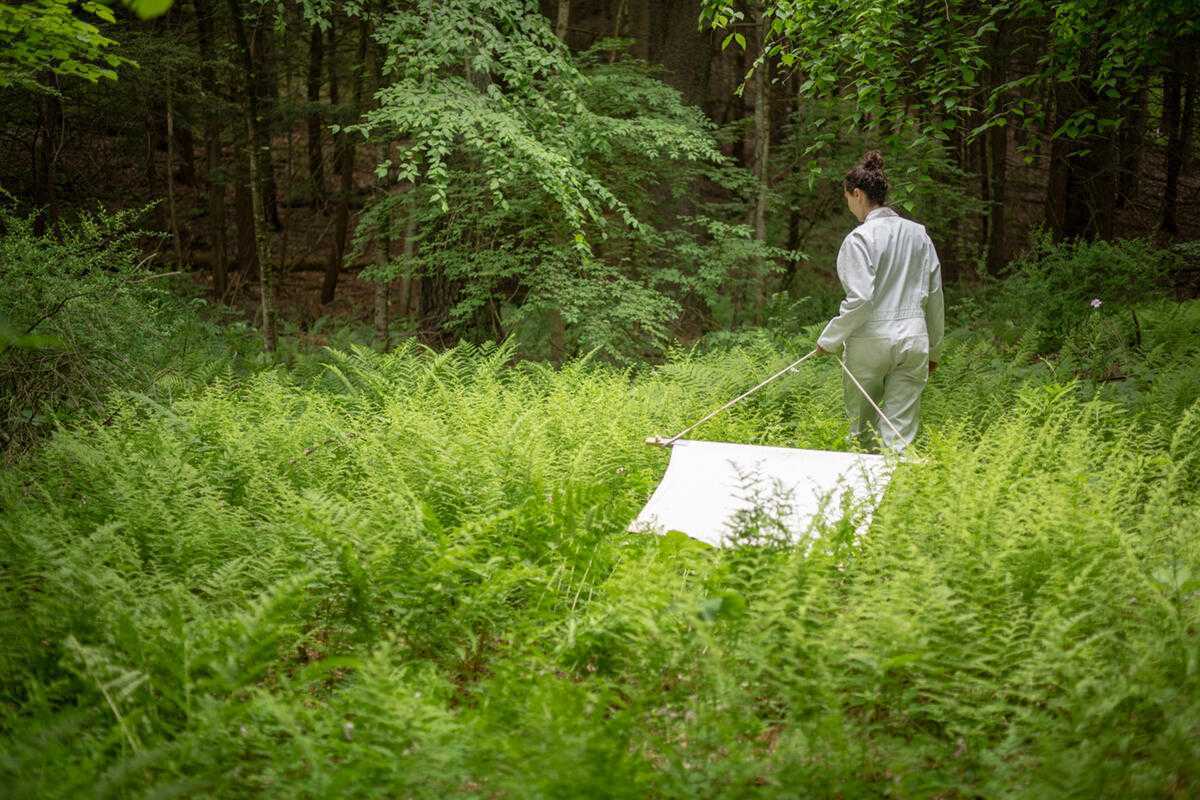 Dutchess County ticks found to carry multiple pathogens, study shows