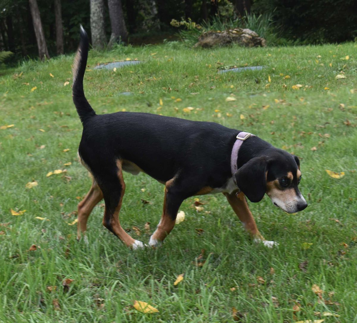 A second chance in Wingdale
