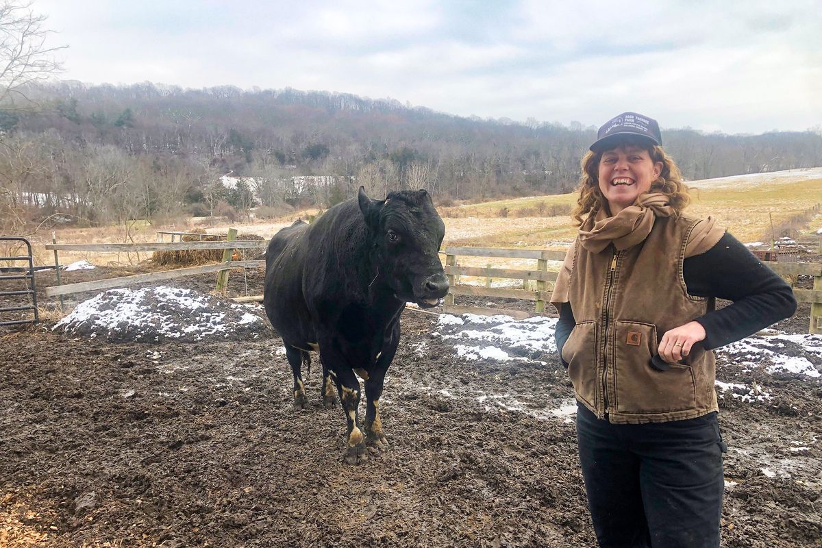 Dairy farming in Dutchess: New ways to steward an old tradition at
Chaseholm Farm
