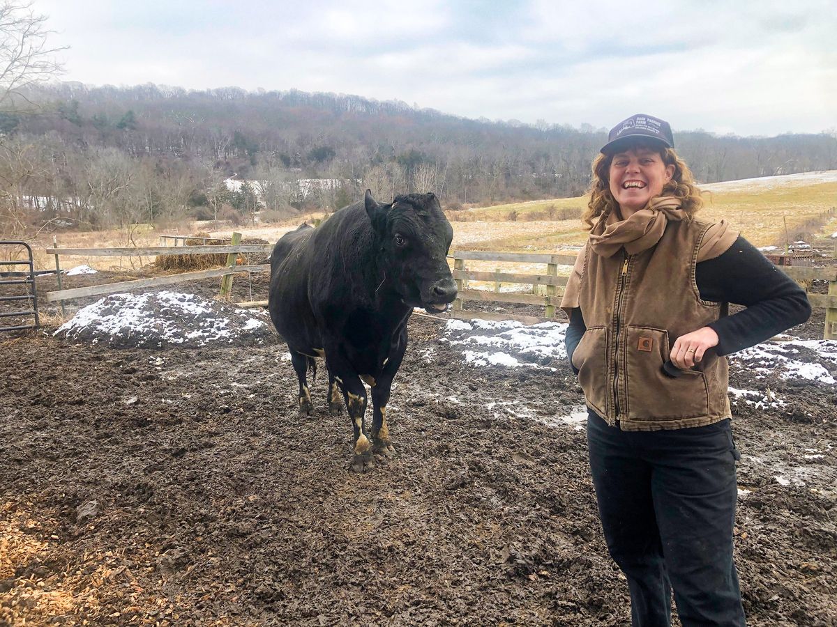Dairy farming in Dutchess: New ways to steward an old tradition at
Chaseholm Farm