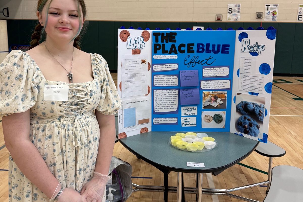 Webutuck students showcase projects at the STEAM Fair