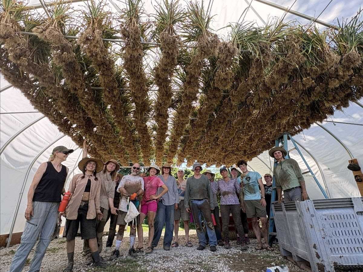 Sisters Hill Farm up for sale, CSA operation faces uncertainty