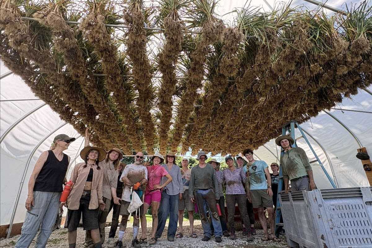 Sisters Hill Farm up for sale, CSA operation faces uncertainty