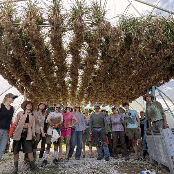 Sisters Hill Farm up for sale, CSA operation faces uncertainty
