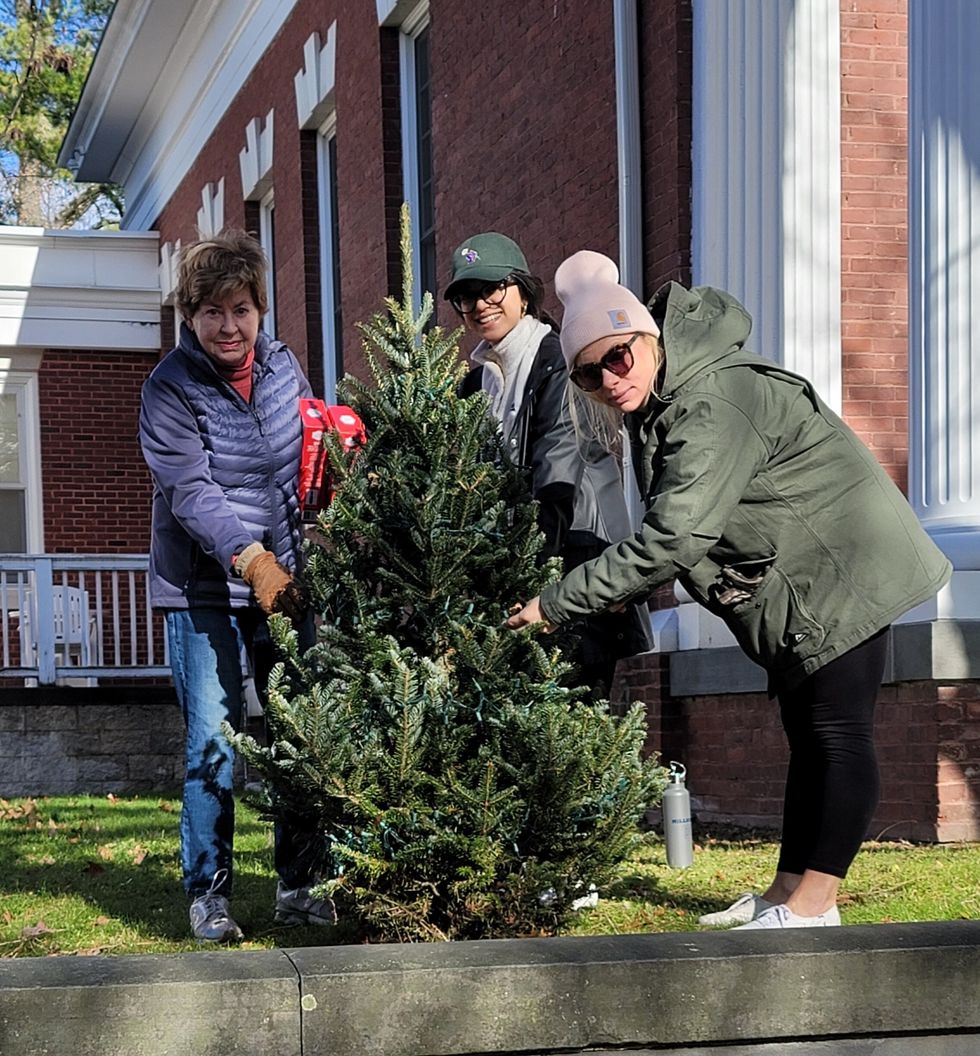 Festival of Trees in Town Park