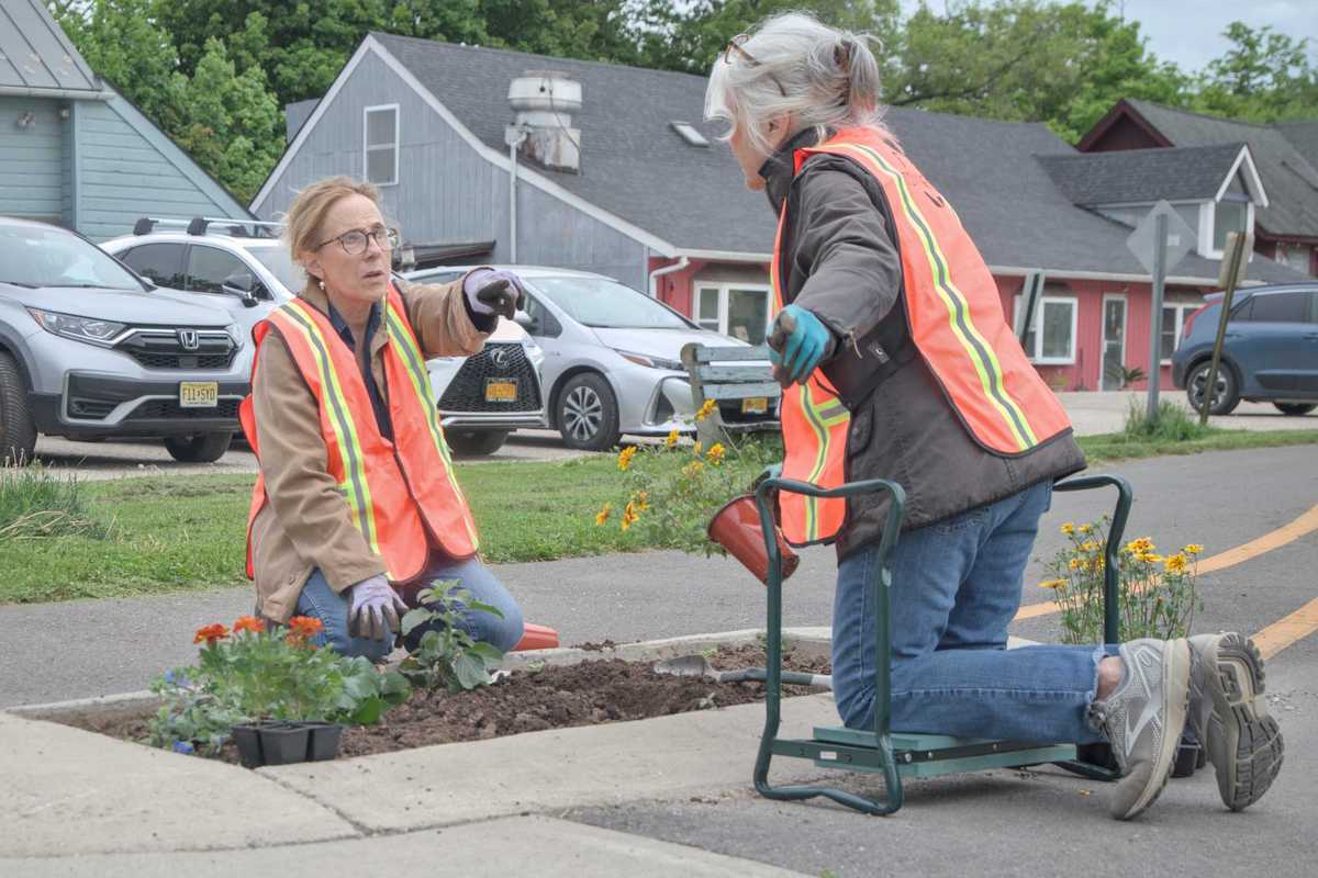 Growing community
