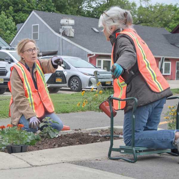 Growing community