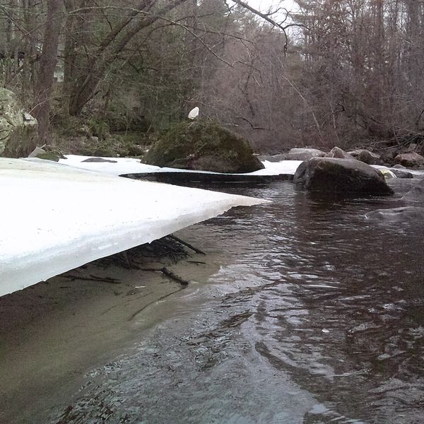 Stir-crazy angler takes first trip of new year