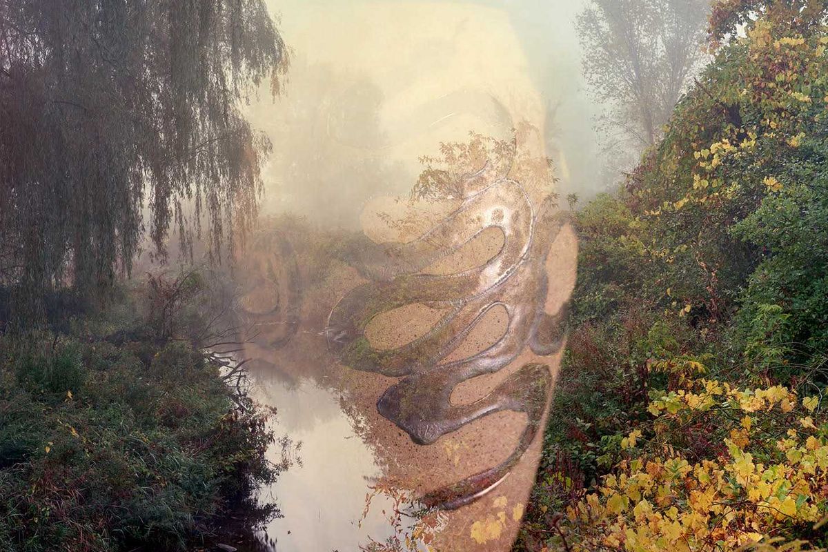 ‘Fields of Snakes’ opens at Standard Space, exploring collaboration and transformation