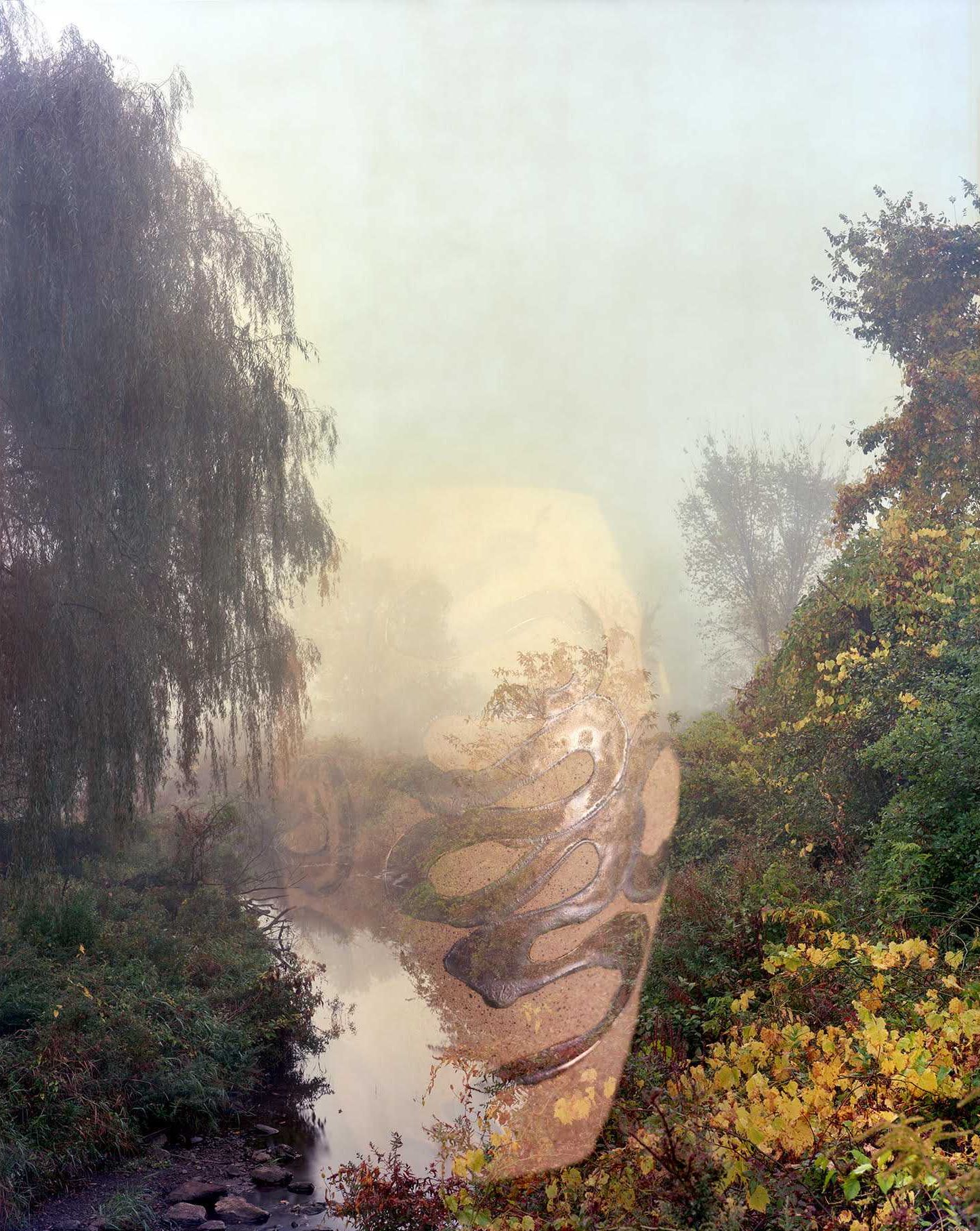 ‘Fields of Snakes’ opens at Standard Space, exploring collaboration and transformation