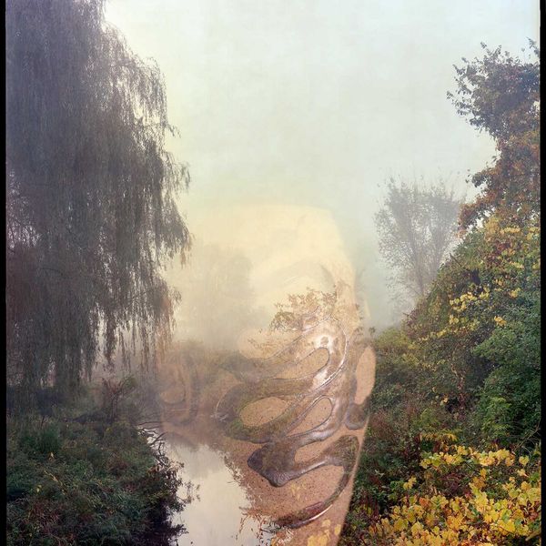 ‘Fields of Snakes’ opens at Standard Space, exploring collaboration and transformation