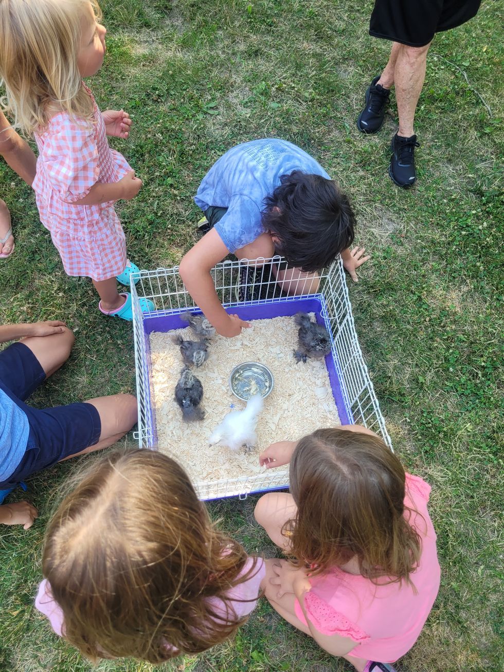 Petting zoo delights young library patrons