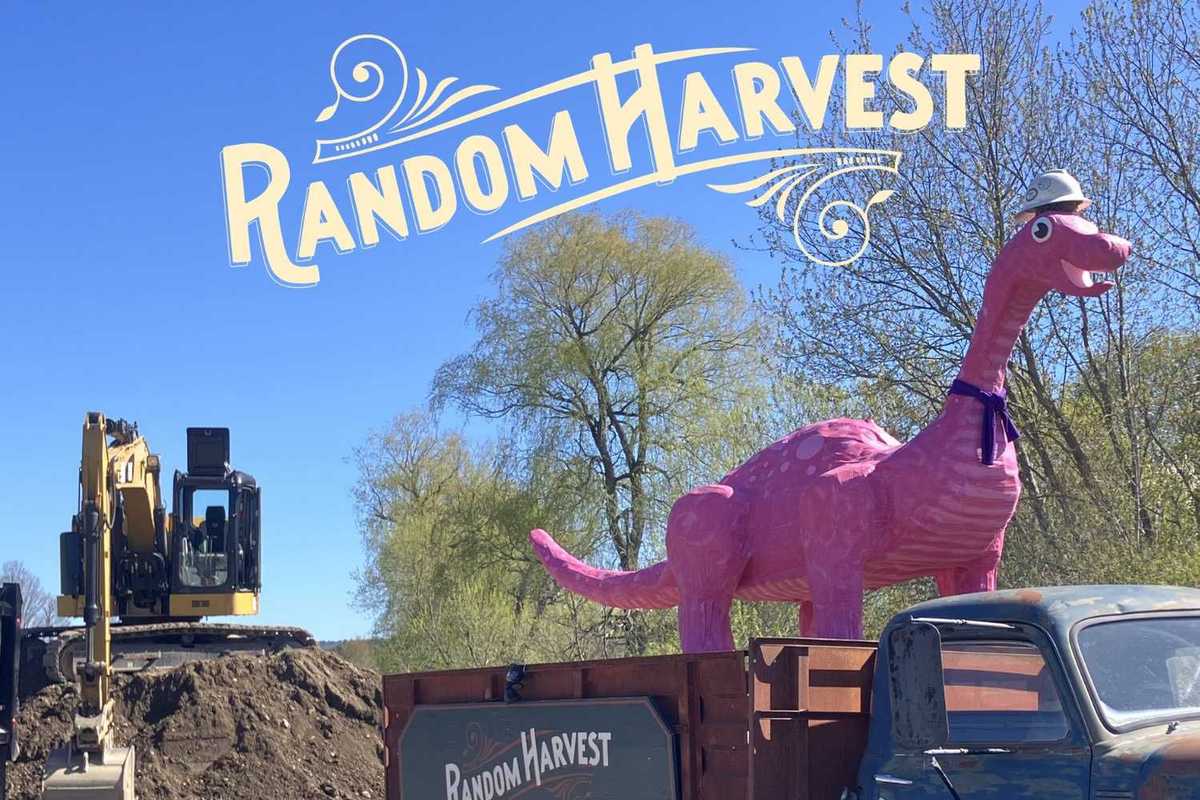 Soup Night to benefit Random Harvest Market