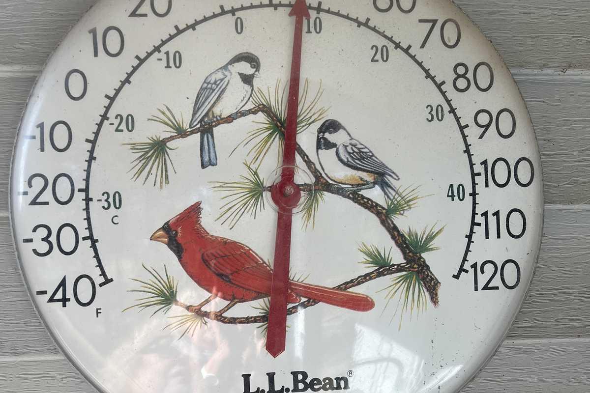 Science confirms: It was a cold winter