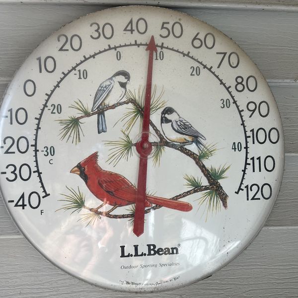 Science confirms: It was a cold winter