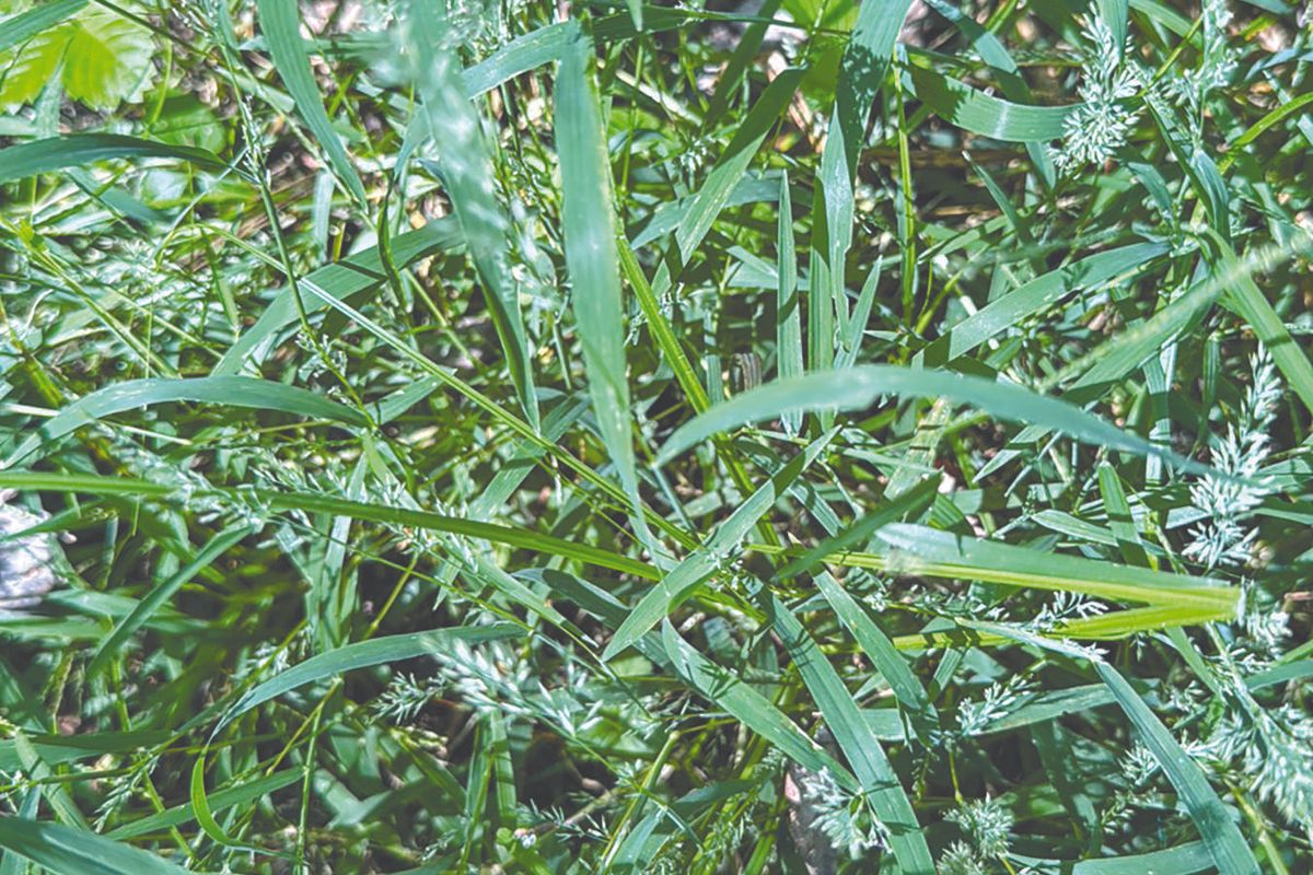 Is restoration possible?