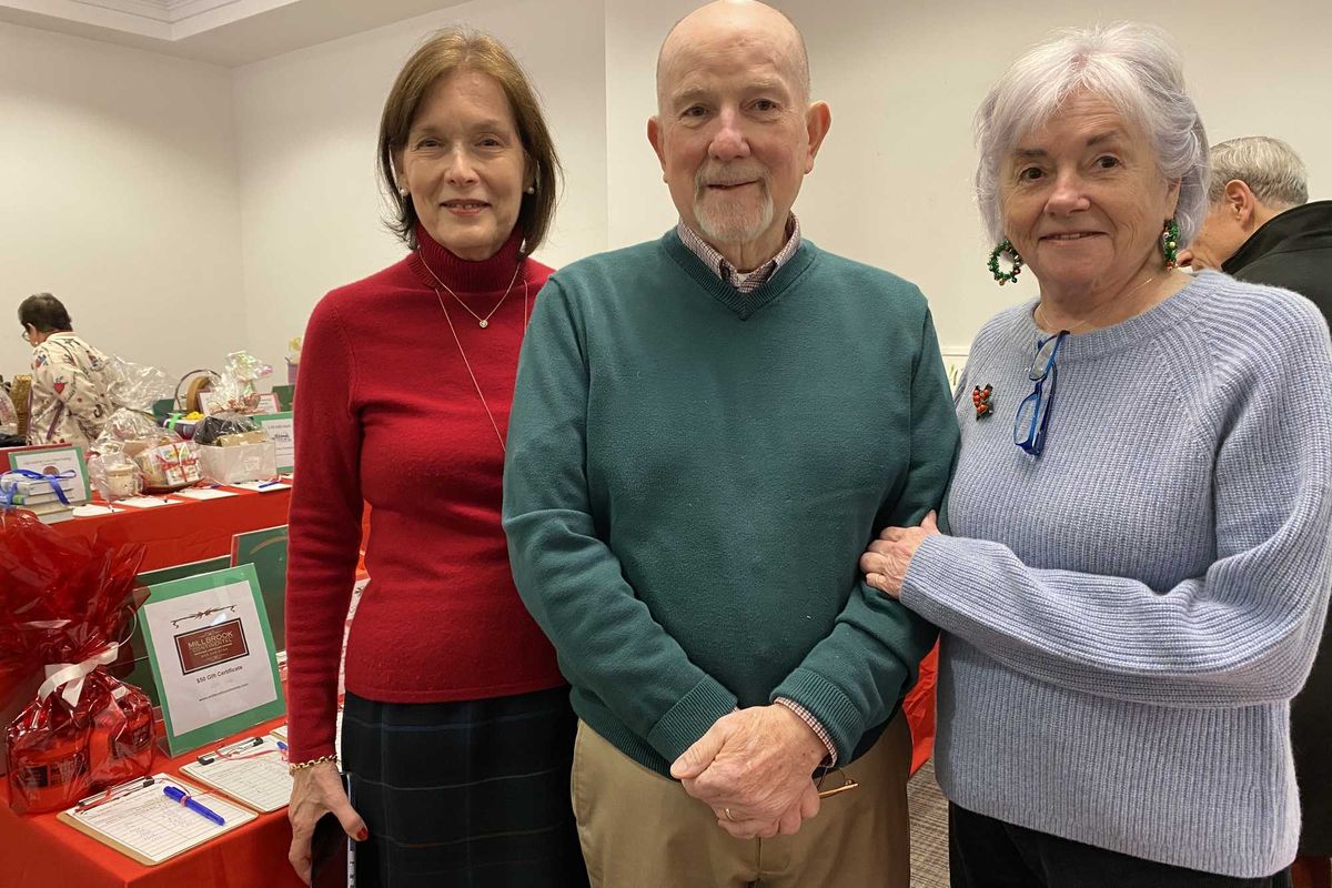 Millbrook library raises $12K at annual auction