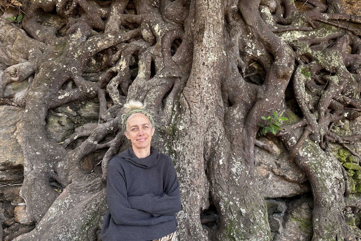 New Cary Institute scientist to discuss the afterlife of trees
