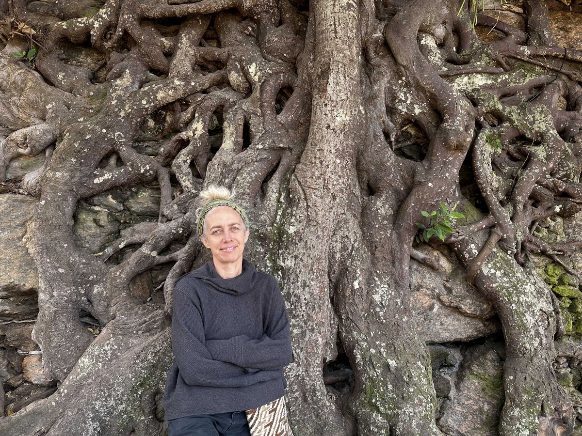 New Cary Institute scientist to discuss the afterlife of trees