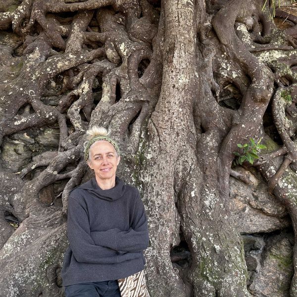 New Cary Institute scientist to discuss the afterlife of trees