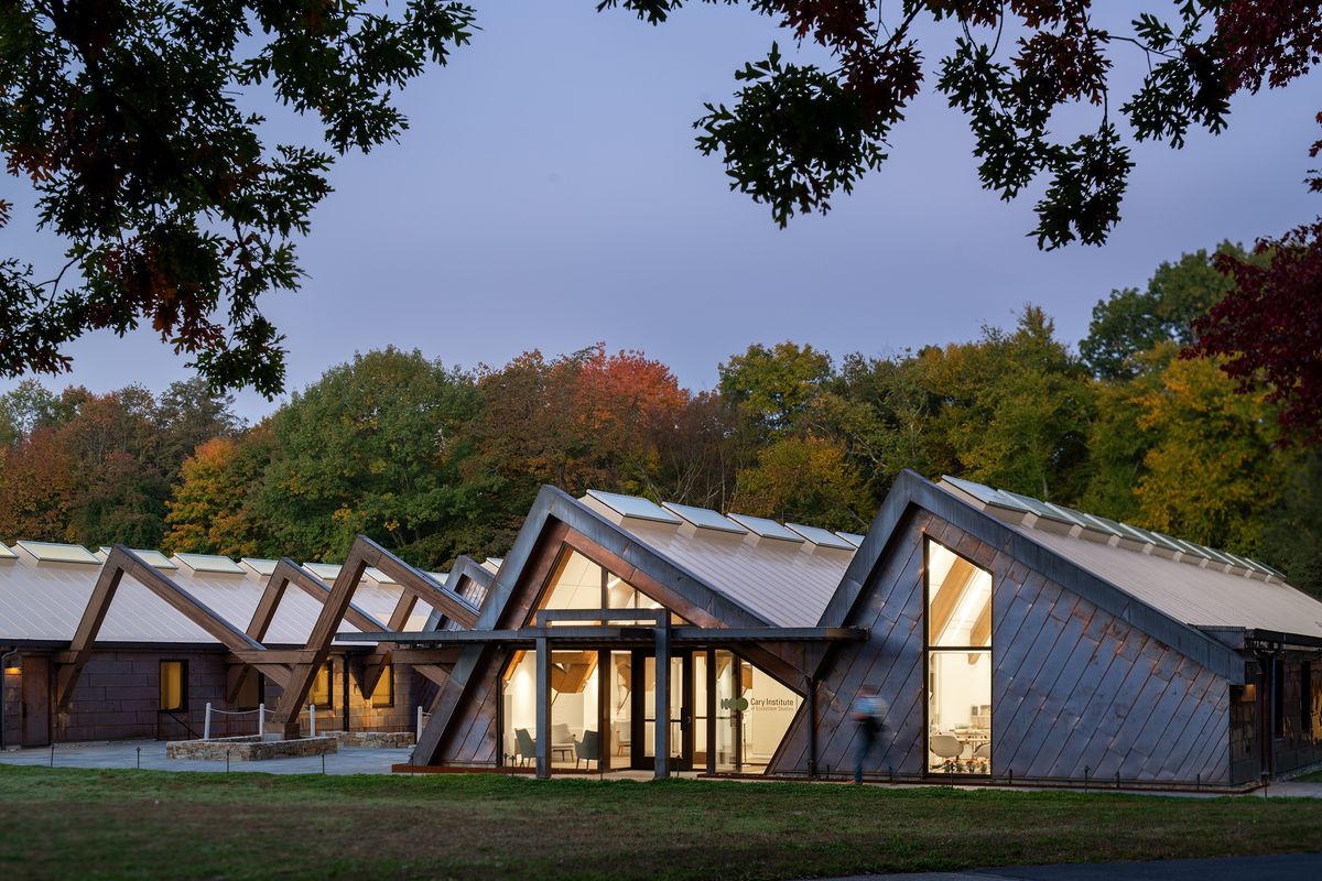 Exploring eco-science at the Cary Institute