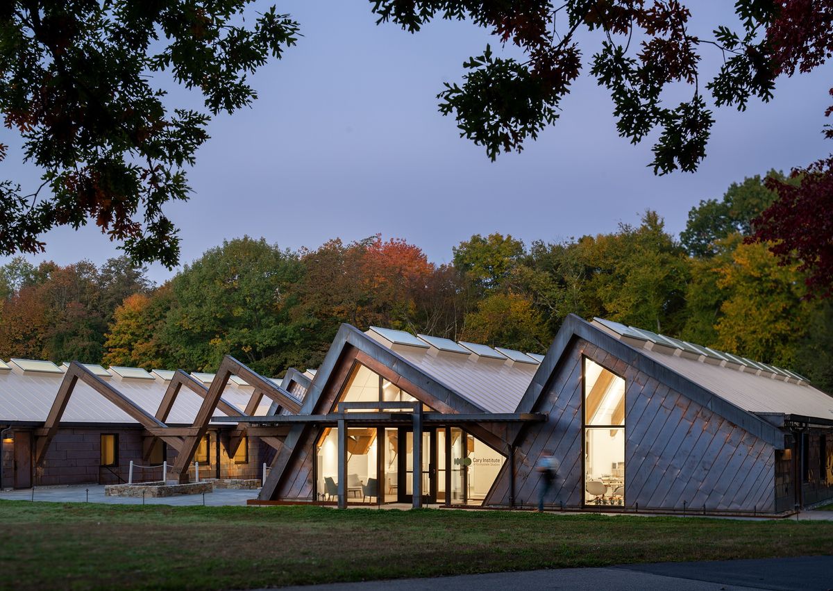 Exploring eco-science at the Cary Institute