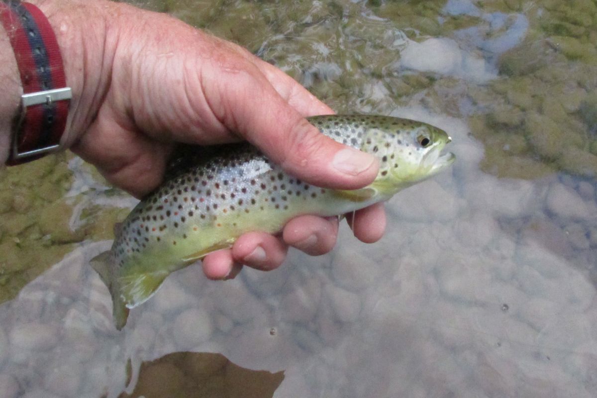 Research and development