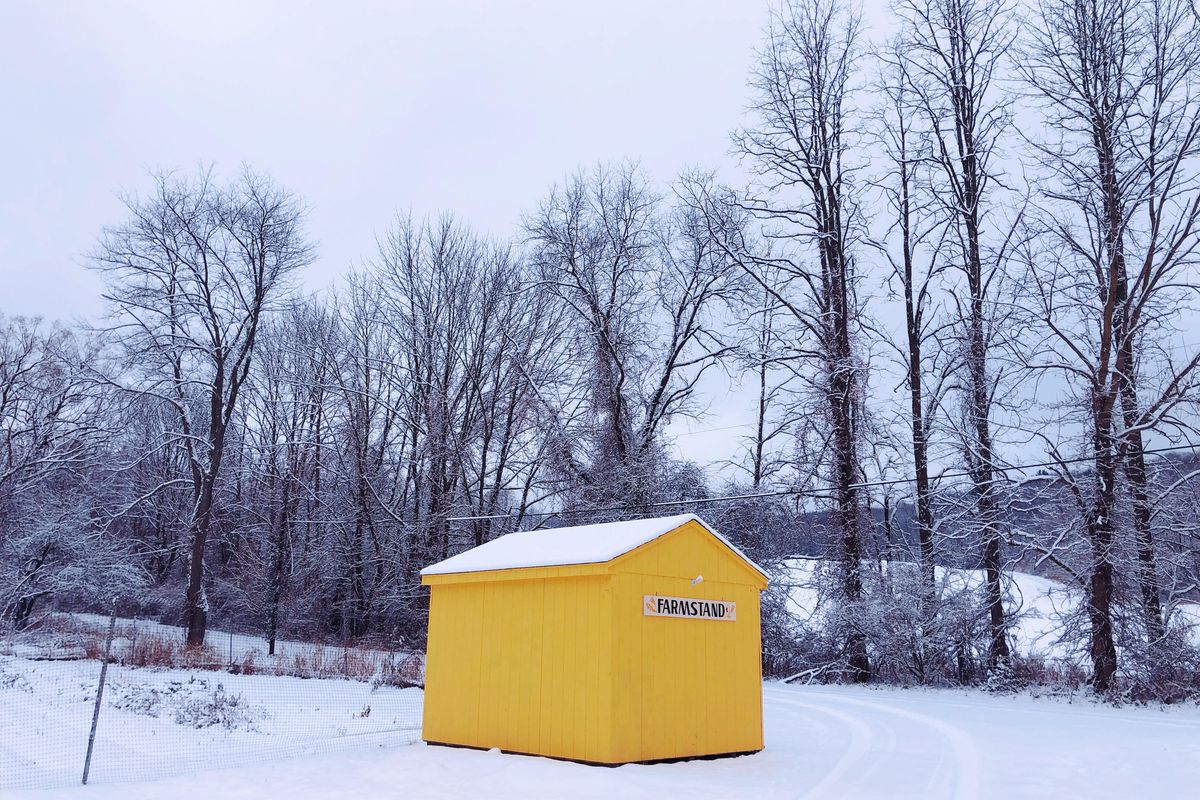 Letter from the farm: The argument for CSAs