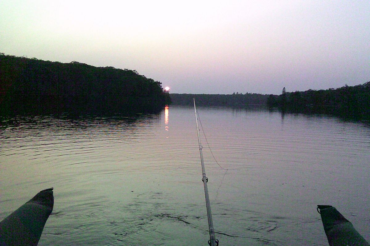 Tangled warm water report
