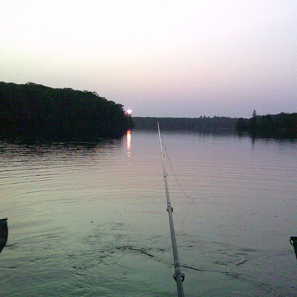 Tangled warm water report