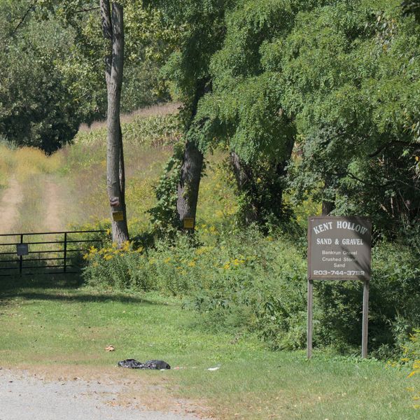 Amenia seeks dismissal of alleged contract zoning suit