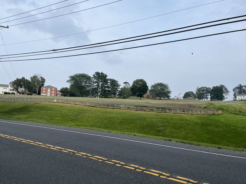 Salisbury School’s hillside becomes a ‘pollinator meadow’
