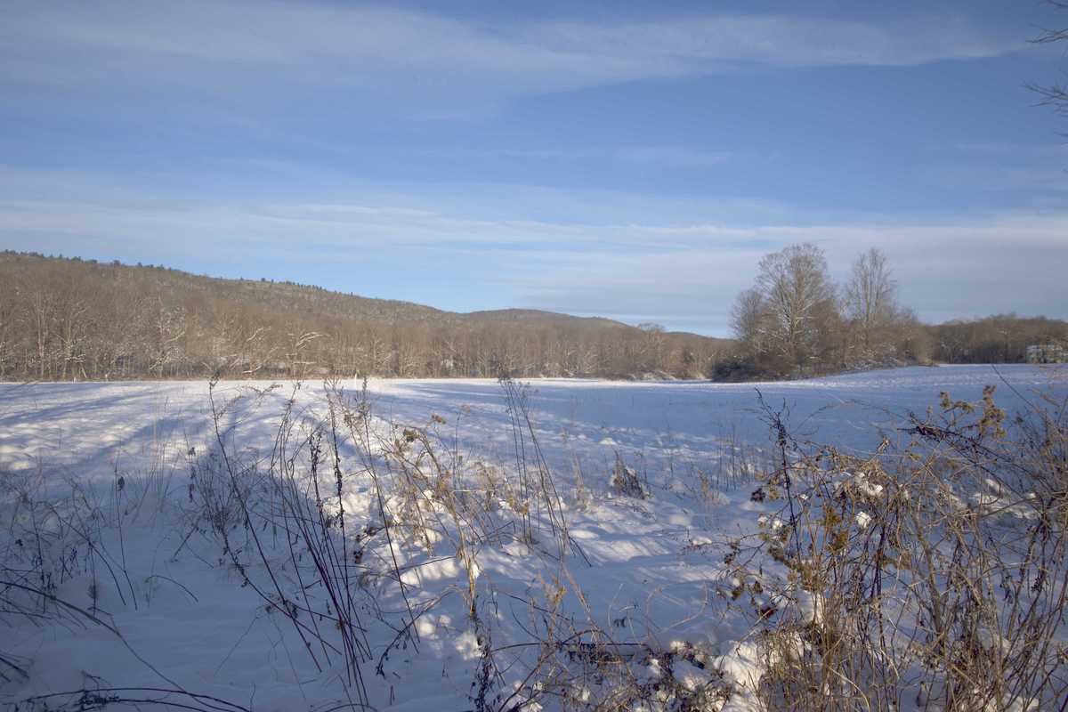 Cascade Creek subject to full impact study