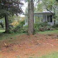 One dead, two hurt in Sharon car crash