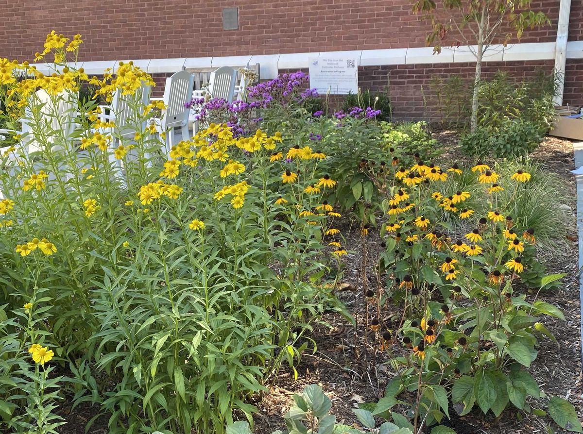Millbrook Library to dedicate native garden Oct. 4