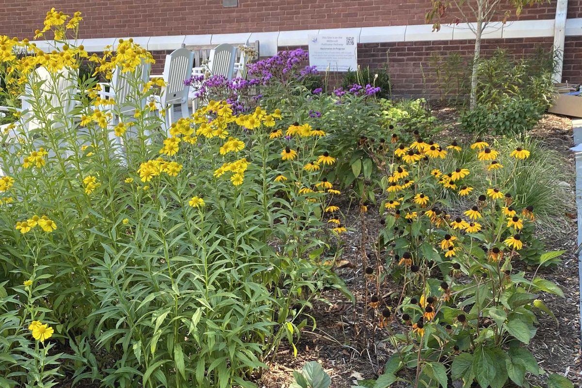 Millbrook Library to dedicate native garden Oct. 4