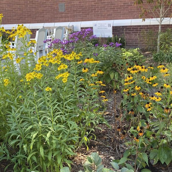 Millbrook Library to dedicate native garden Oct. 4