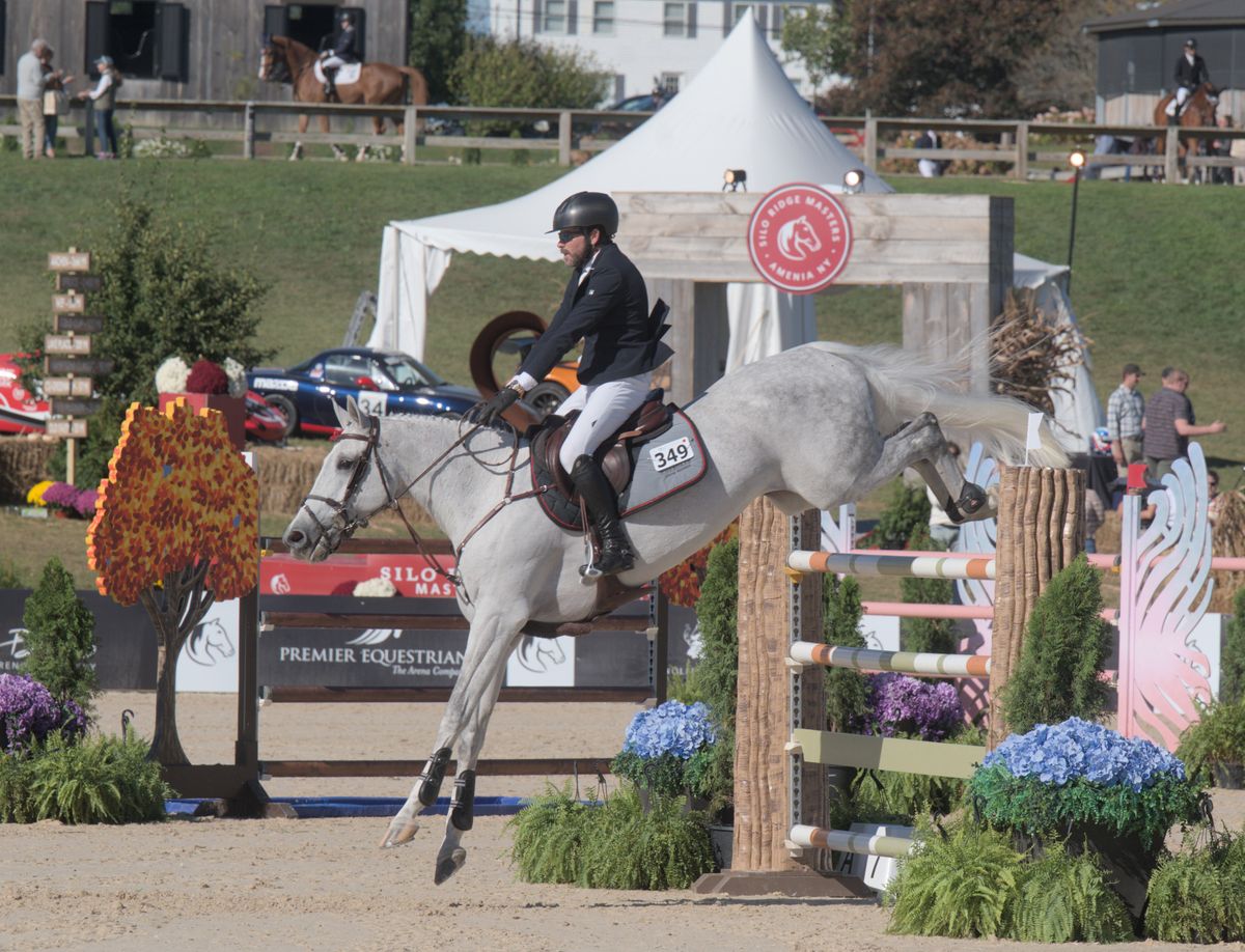 Keane Stud's Silo Ridge Masters is coming back bigger