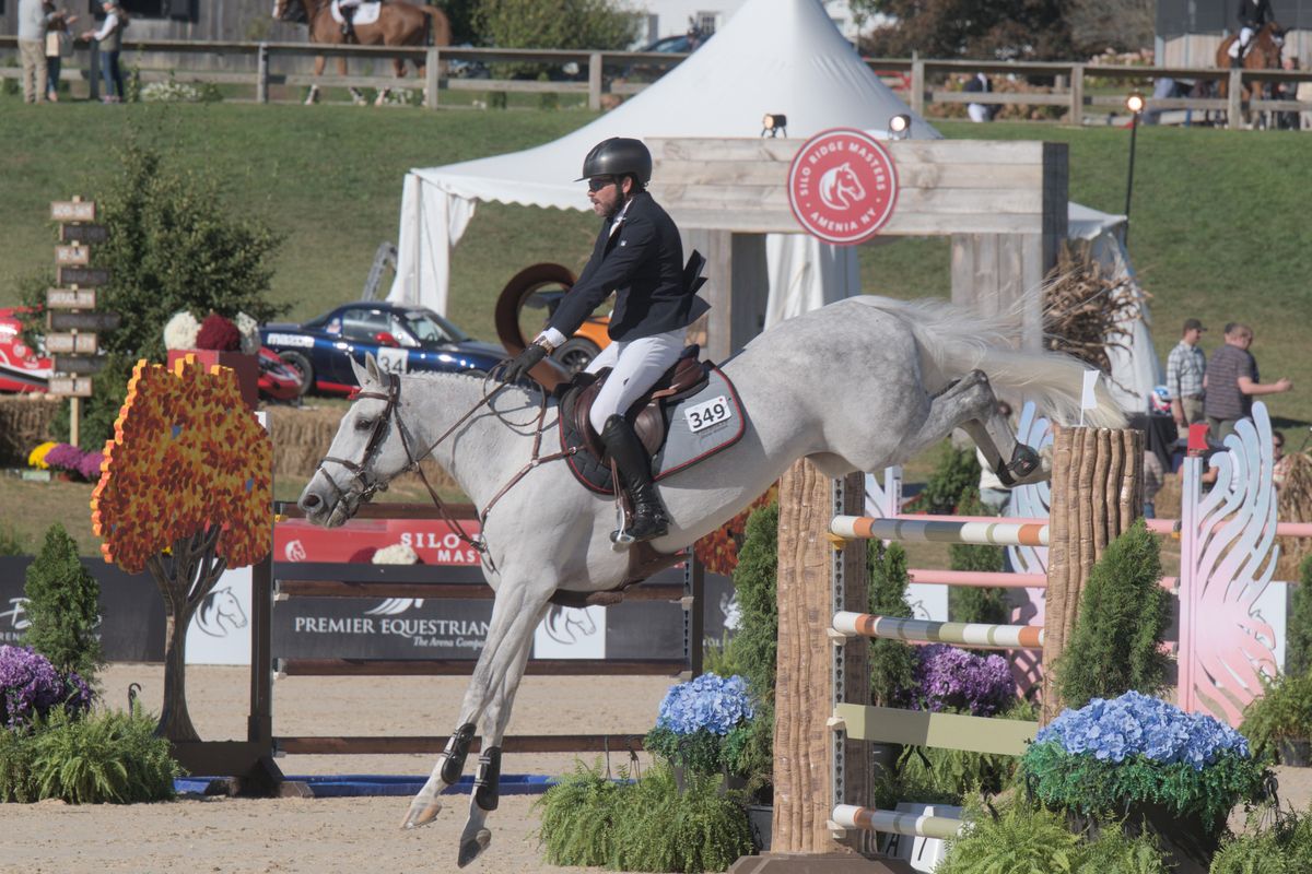 Keane Stud's Silo Ridge Masters is coming back bigger