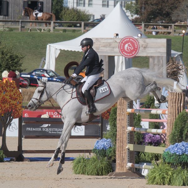 Keane Stud's Silo Ridge Masters is coming back bigger