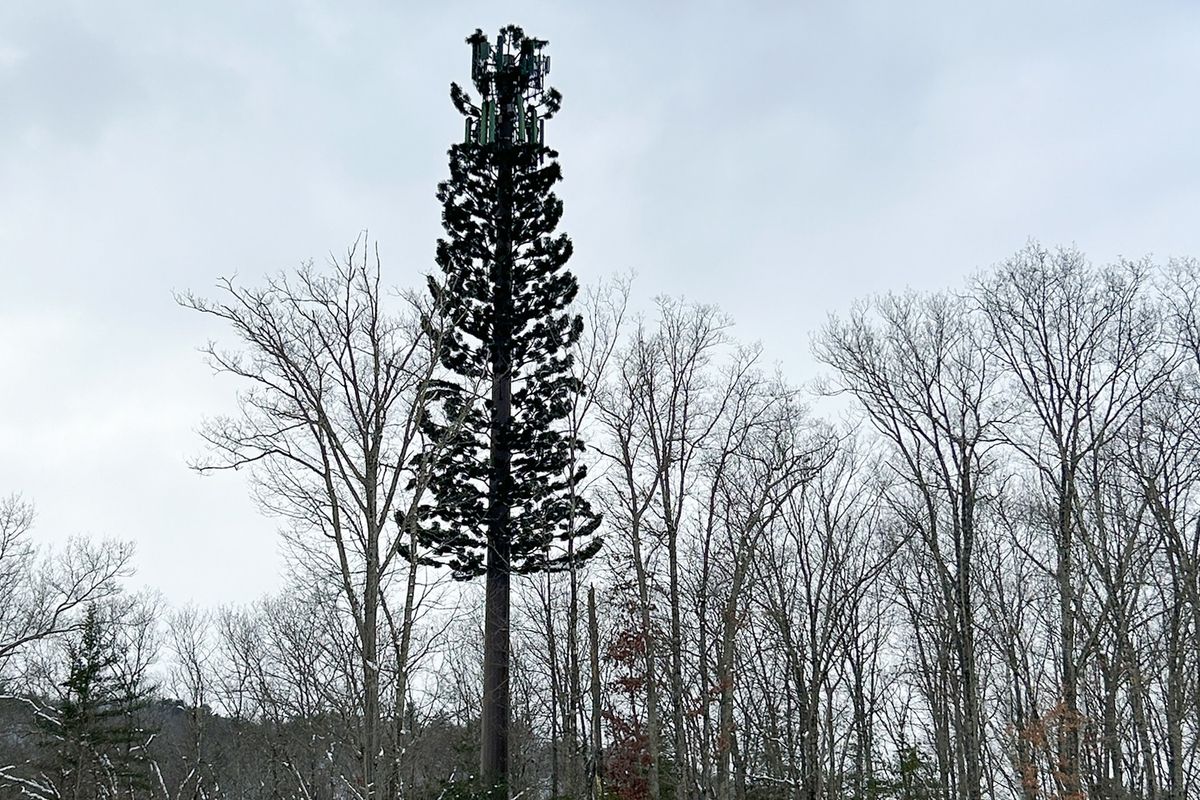 Can you hear me now?