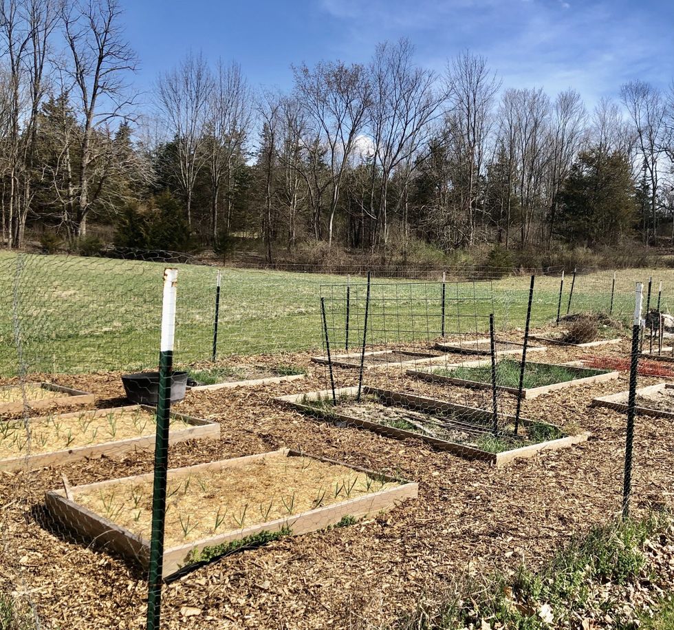 Volunteers tend to Community Garden