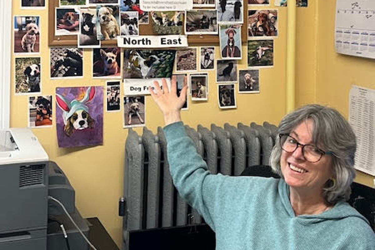 Town of North East conducts dog census, encourages licensing of pets