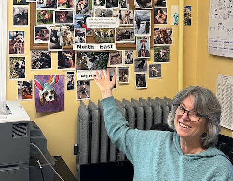 Town of North East conducts dog census, encourages licensing of pets